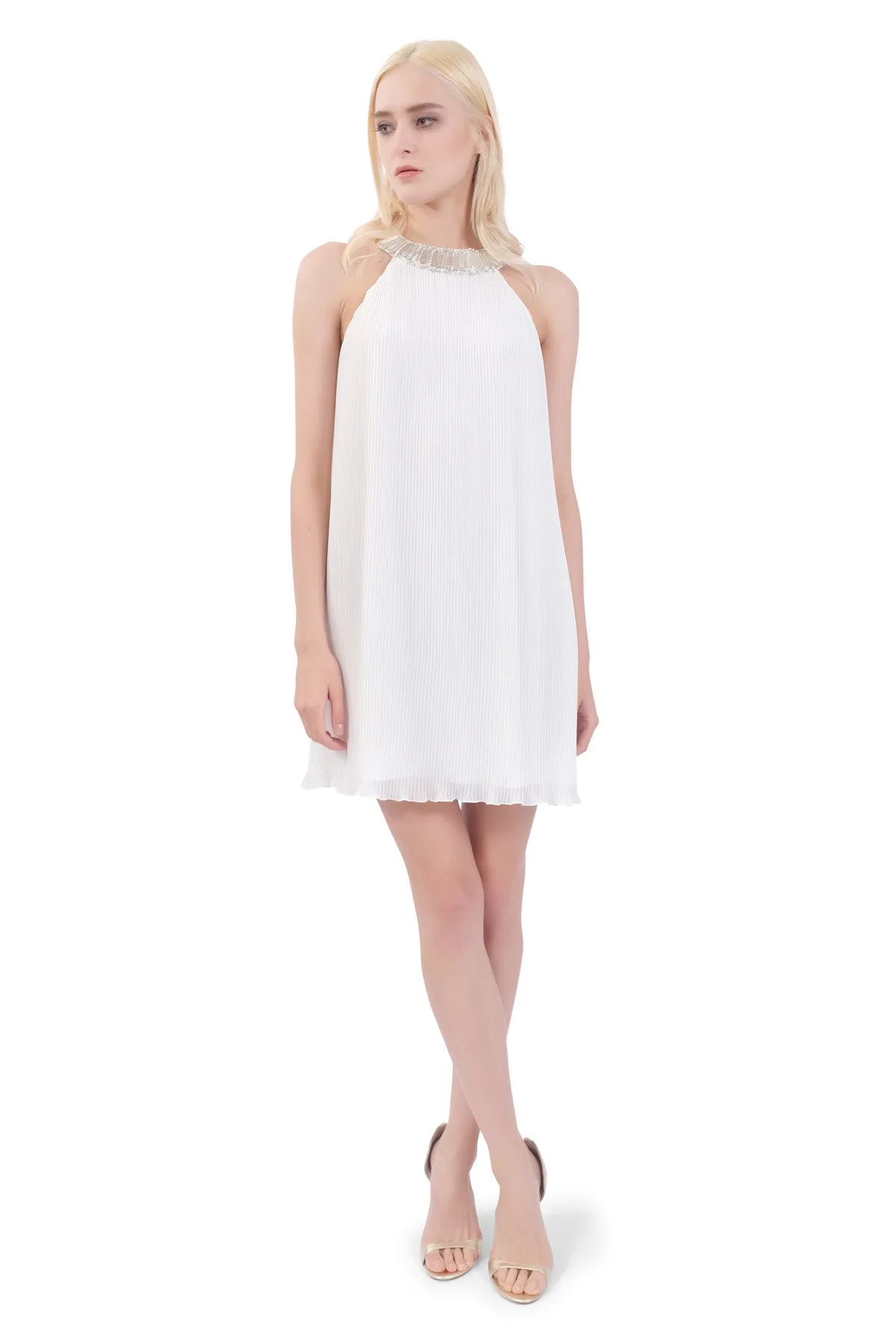 Lin Chiffon Pleated Dress